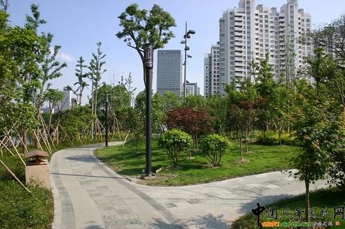 欧Ⅲ公园工程 施工单位:杭州市园林绿化工程 获奖情况:优胜奖